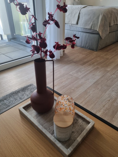 Spacious and charming studio - Gallery - 16