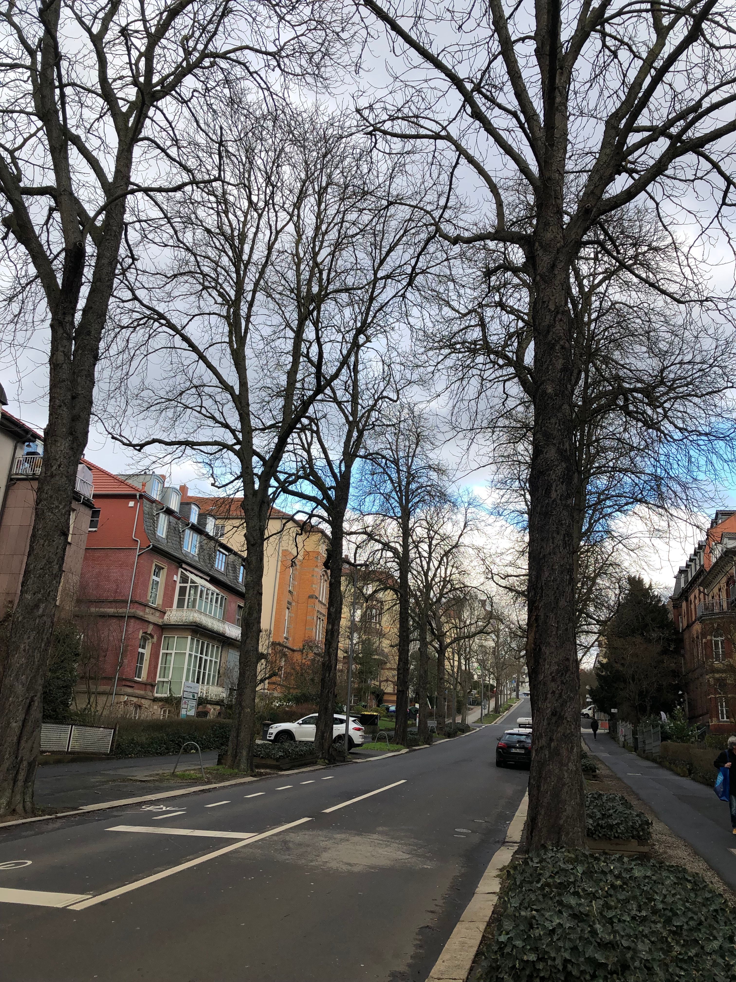 Amazing Flat In Kassel / Voderer Westen - Querallee - 11