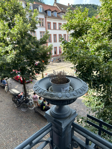 Charming and fully furnished flat with nice neighbours ( with weekly cleaning)
