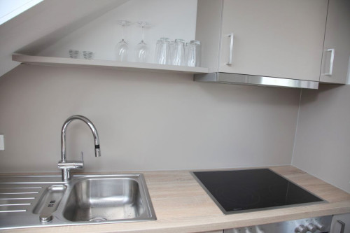 Lovely and amazing apartment (Leinfelden-Echterdingen)  - Gallery -  5