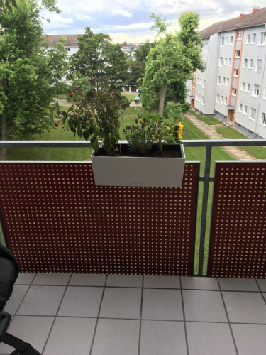 Large and modern flat in Sindelfingen  - Gallery -  5