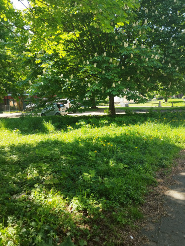 Bright, Centrally and garden view, near office district, Neuss very close to Düsseldorf- fantastic sunny balcony - Gallery - 26