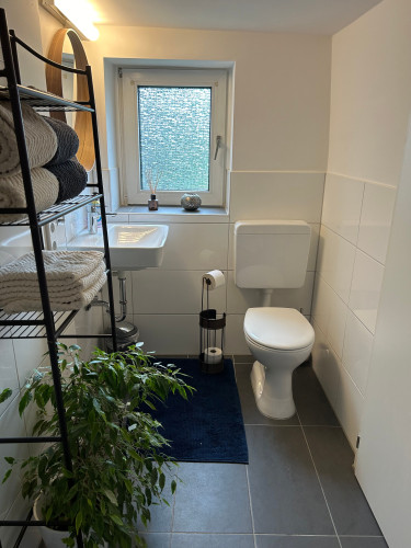 lovely and quiet apartment, good access to Cologne