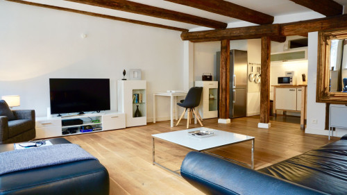 Unique luxury apartment in City Center  - Gallery -  5