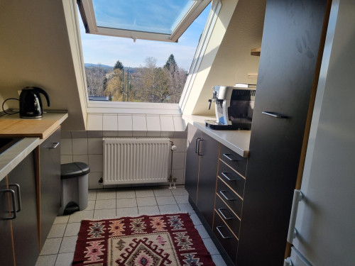 tylish, modernized 2.5-room attic apartment with high end interior and fitted kitchen in Gießen. - Gallery - 10