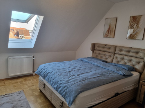 tylish, modernized 2.5-room attic apartment with high end interior and fitted kitchen in Gießen. - Gallery - 8