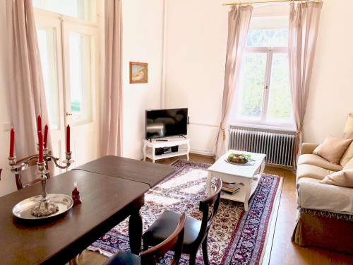 historical 3 Room flat in Dresden - Gallery - 33