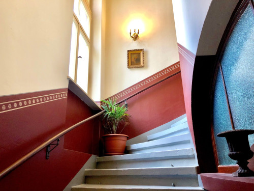historical 3 Room flat in Dresden - Gallery - 25