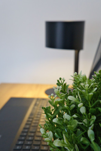 "Sonnenhof" flat in Görlitz