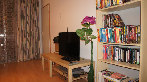 Bright and new loft in Offenbach am Main