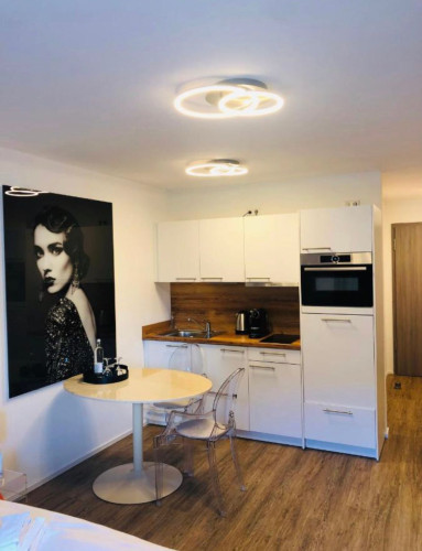 Business Apartment located in Metzingen  - Gallery -  5