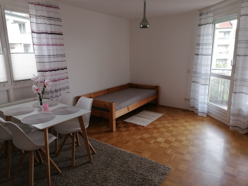 2-room furnished apartment with fitted kitchen, east-south balcony