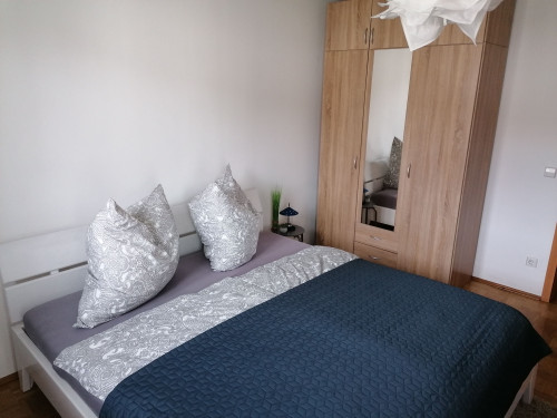 2-room furnished apartment with fitted kitchen, east-south balcony