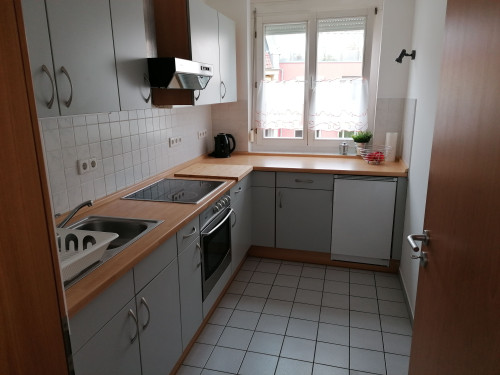 2-room furnished apartment with fitted kitchen, east-south balcony - Gallery - 13