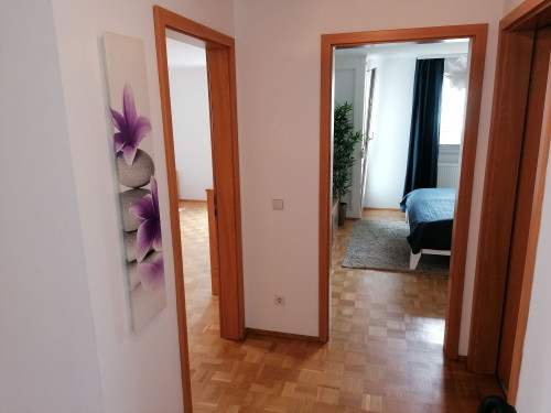 2-room furnished apartment with fitted kitchen, east-south balcony - Gallery - 11