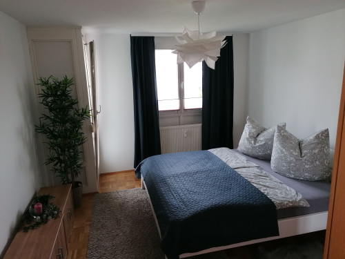 2-room furnished apartment with fitted kitchen, east-south balcony  - Gallery -  5