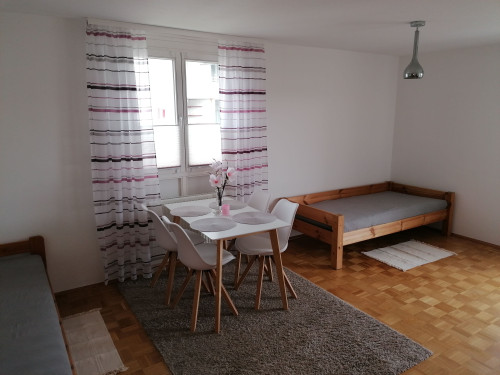 2-room furnished apartment with fitted kitchen, east-south balcony