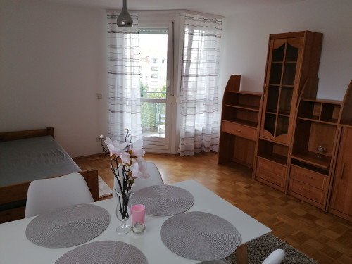 2-room furnished apartment with fitted kitchen, east-south balcony