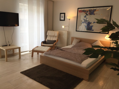 Neat and fantastic suite located in Düsseldorf