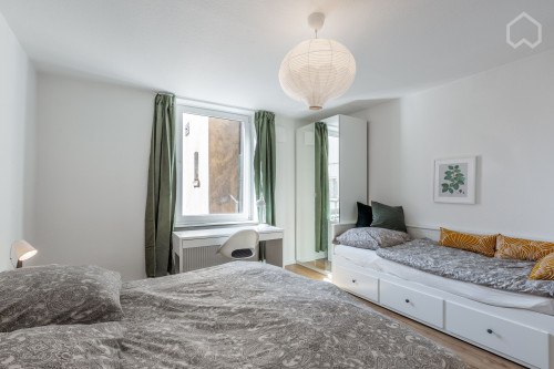 2 room apartment: central, newly renovated and beautiful close to the beaches, Rheinpark, exhitibition center and train station