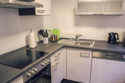 Modern and friendly basement apartment for up to 4 people. between Karlsruhe and Rastatt - Gallery - 8