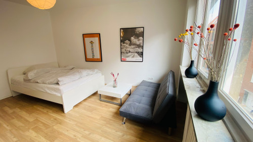 super central 1 room and full kitchen apartment 32 sqm