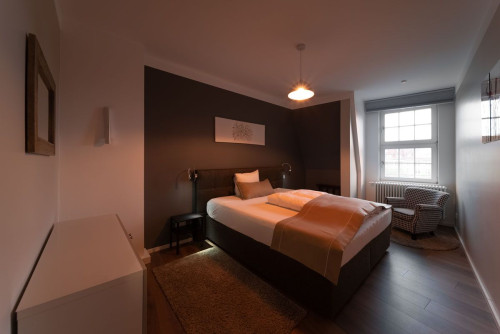 Modern Penthouse apartment in historic center with AC - Gallery - 13
