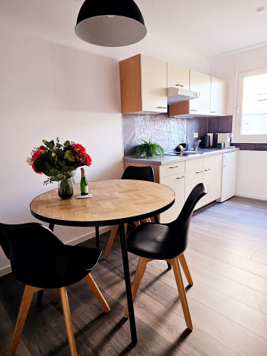 Central Studio *terrace* in Dresden near "Großer Garten"