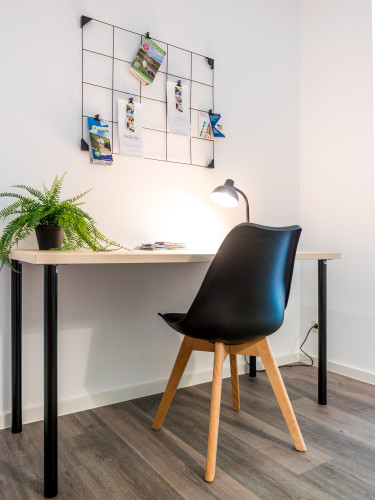 Central Studio *terrace* in Dresden near "Großer Garten"