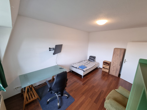 Brught Studio close to Station "Neustadt"