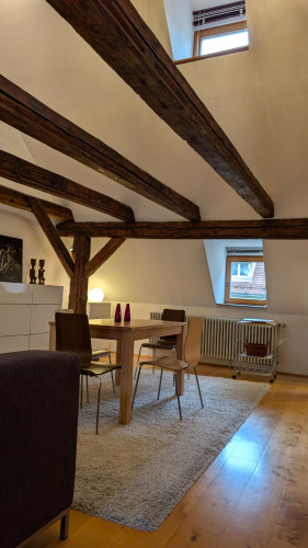 Beautiful Gallery Apartment in the Heart of Nuremberg’s Old Town