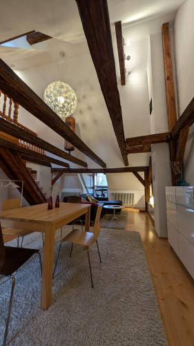 Beautiful Gallery Apartment in the Heart of Nuremberg’s Old Town - Gallery - 7