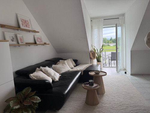 Fashionable & quiet loft in Aschaffenburg