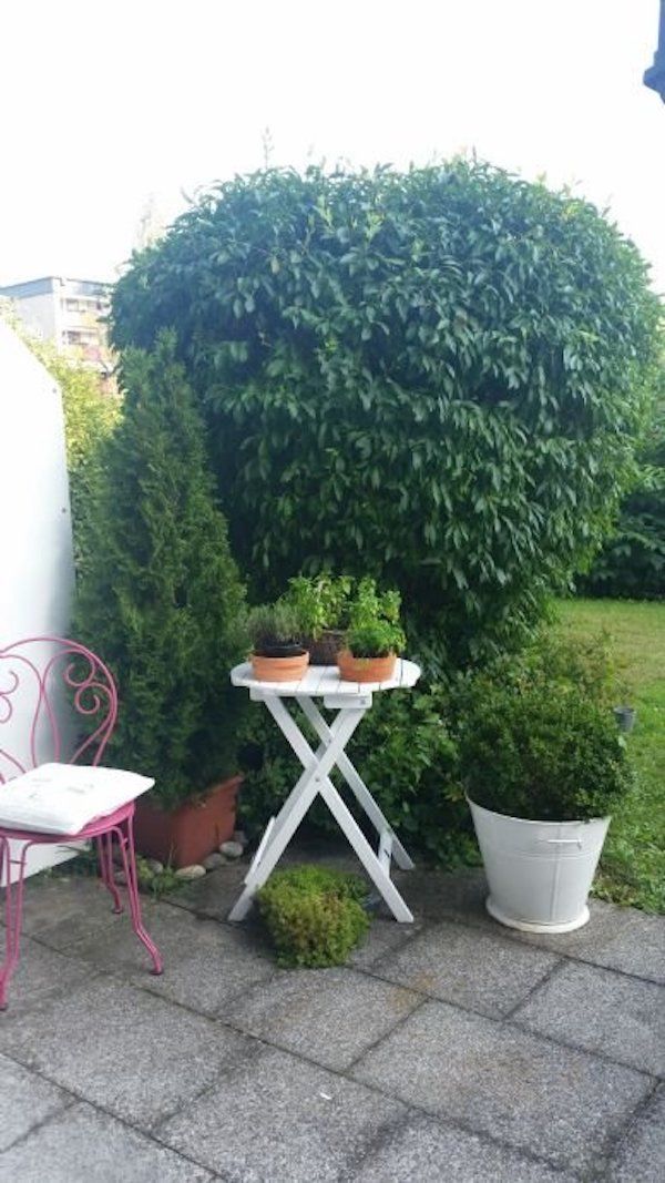  Charming, Stylish 2-Room Apartment In The Center Of Rosenheim  -  Charming, stylish 2-room apartment in the center of Rosenheim  - Gallery -  1