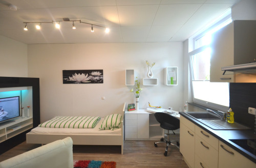 Modernly and comfortably furnished Boardingapartment near Frankfurt airport. - Gallery - 6