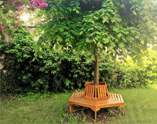 Pretty and fantastic home (Gera) - Gallery - 10