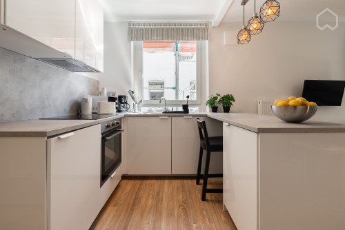 Newly modernized charming apartment with excellent connection