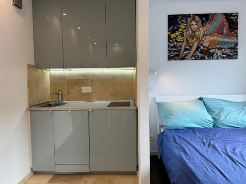 Fashionable apartment (München) - Gallery - 15