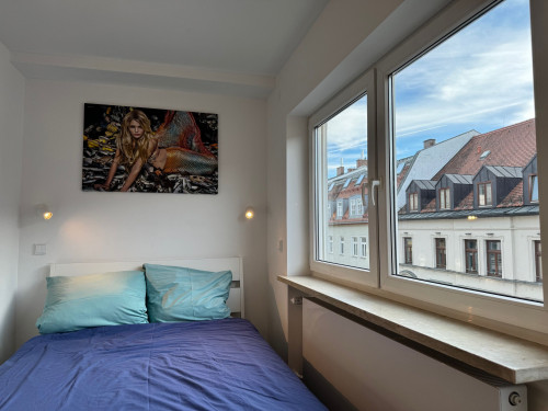 Fashionable apartment (München)