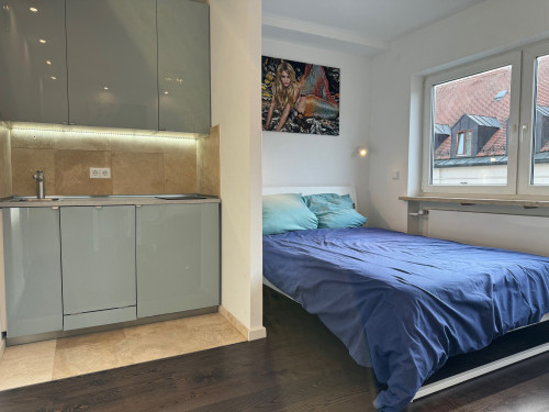 Fashionable apartment (München)