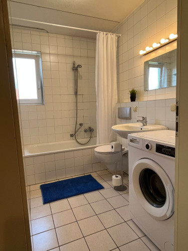 Stylish Fully Furnished Studio Apartment in Central Alzey - Gallery - 11