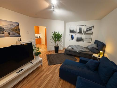 Stylish Fully Furnished Studio Apartment in Central Alzey - Gallery - 6