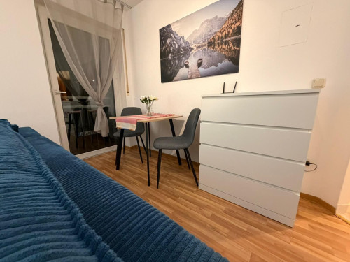 Stylish Fully Furnished Studio Apartment in Central Alzey - Gallery - 13