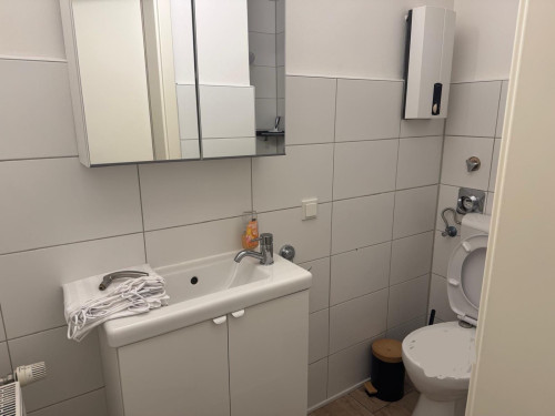 Cozy studio in Alzey right next to the nature reserve