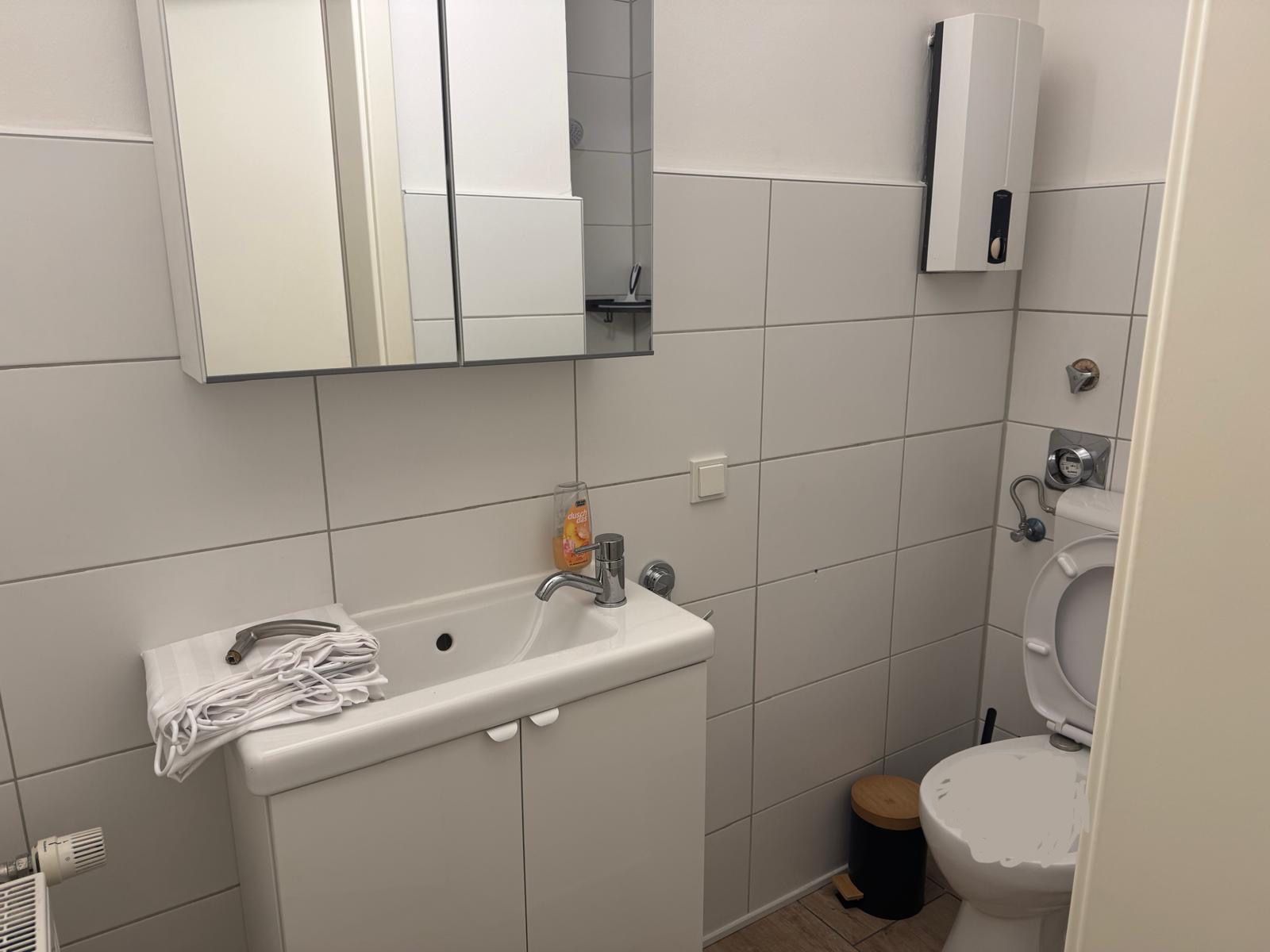  Cozy Studio In Alzey Right Next To The Nature Reserve  -  Cozy studio in Alzey right next to the nature reserve  - Gallery -  4