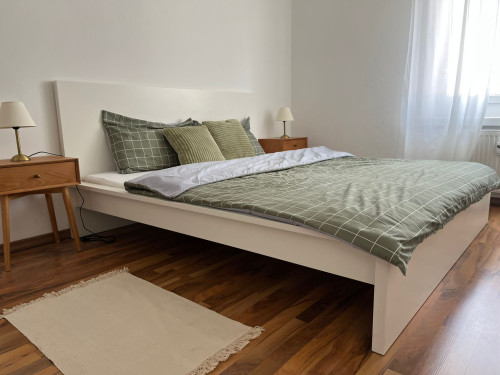 Quiet & pretty apartment (Dessau-Roßlau)