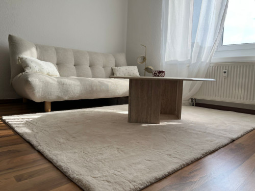 Quiet & pretty apartment (Dessau-Roßlau) - Gallery - 9