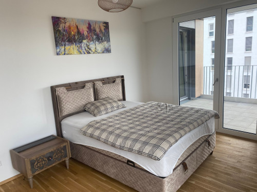 Large flat in Heidelberg  - Gallery -  5