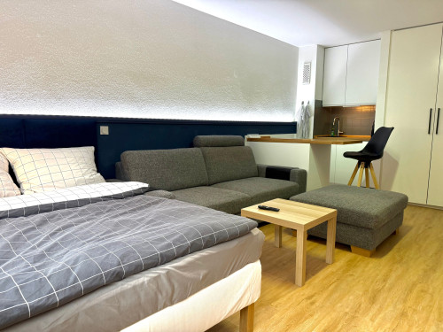 Modern & practically furnished studio flat for couples or singles with a view of the green inner courtyard
