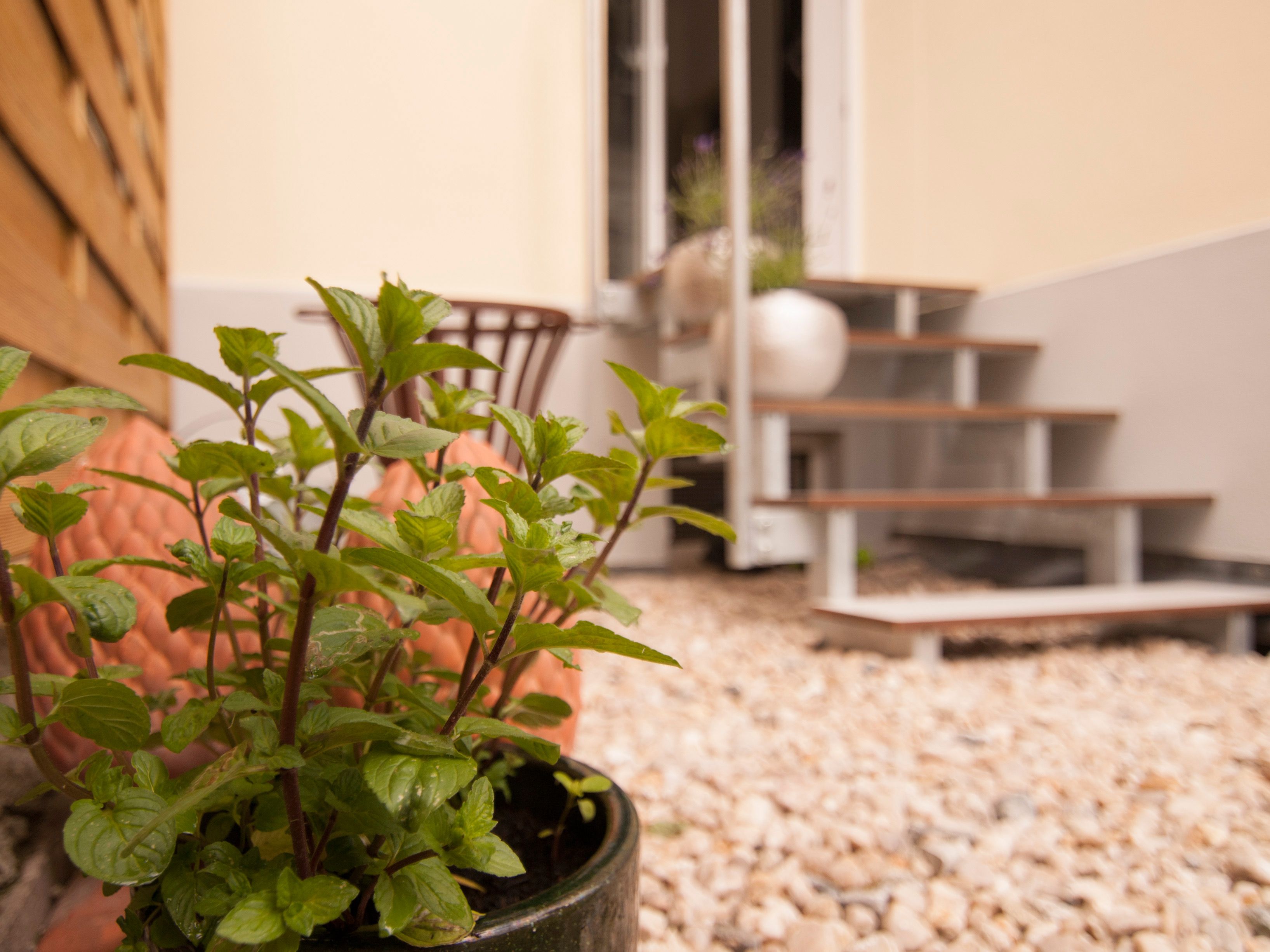 BAUHAUS Design Luxury-Apartment, 20s, With Garden - BAUHAUS Design luxury-apartment, 20s, with garden - Gallery - 10